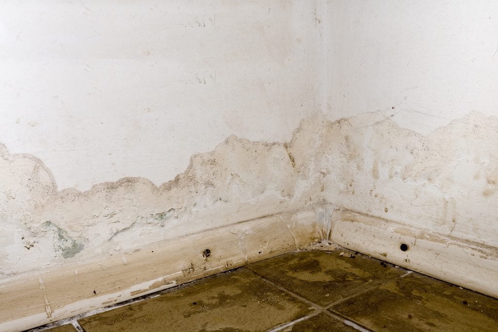 Mold in a Basement caused by Flood Damage
